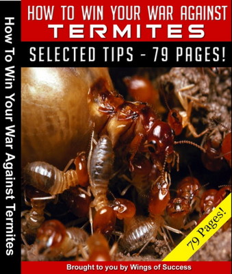 Product picture How To Win Your War Against Termites